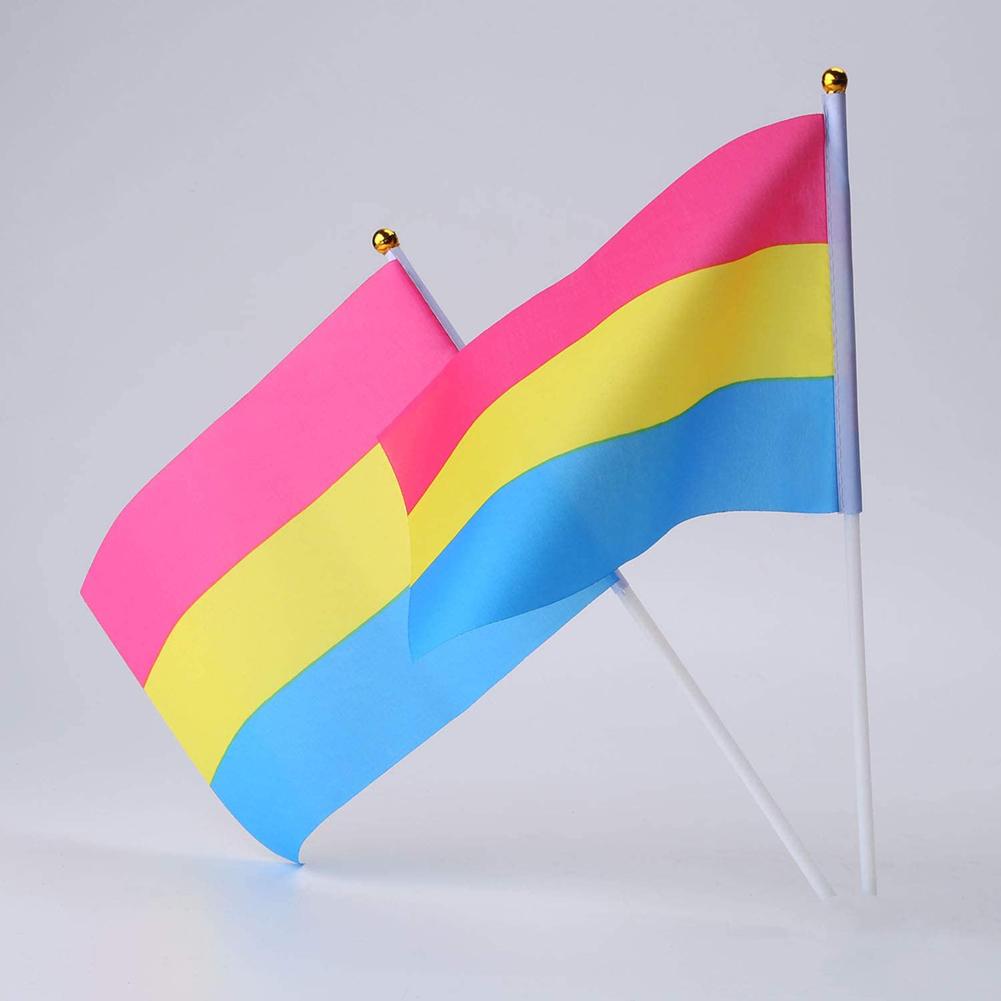 Pansexual Pride Handheld Flags (10 Pack)