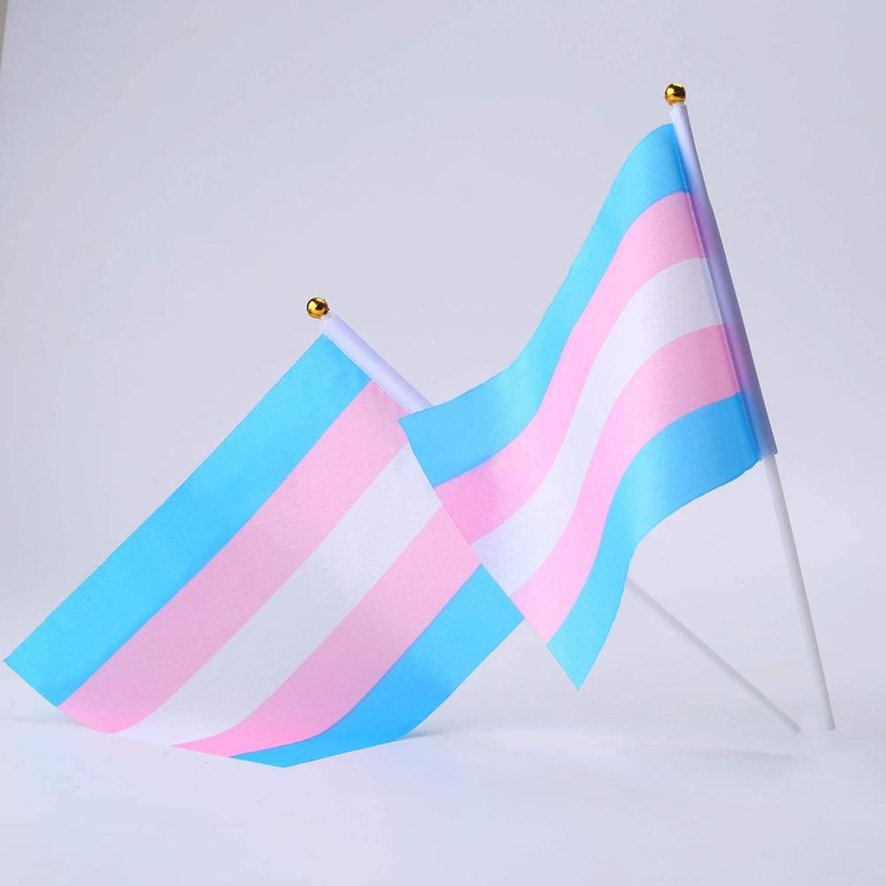 Transgender Pride Handheld Flags (10 Pack)