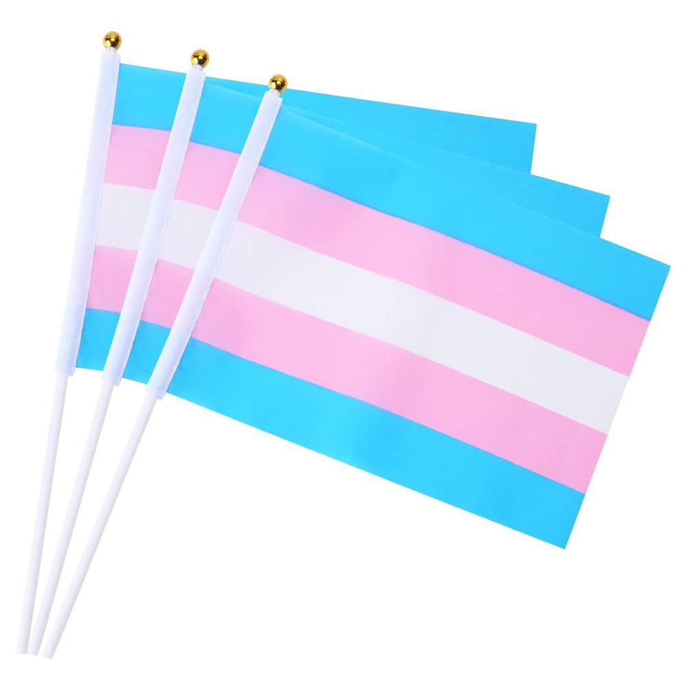 Transgender Pride Handheld Flags (10 Pack)