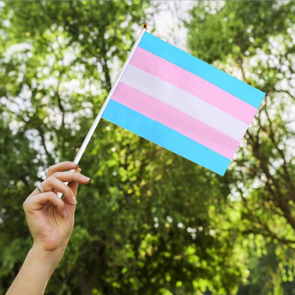 Transgender Pride Handheld Flags (10 Pack)