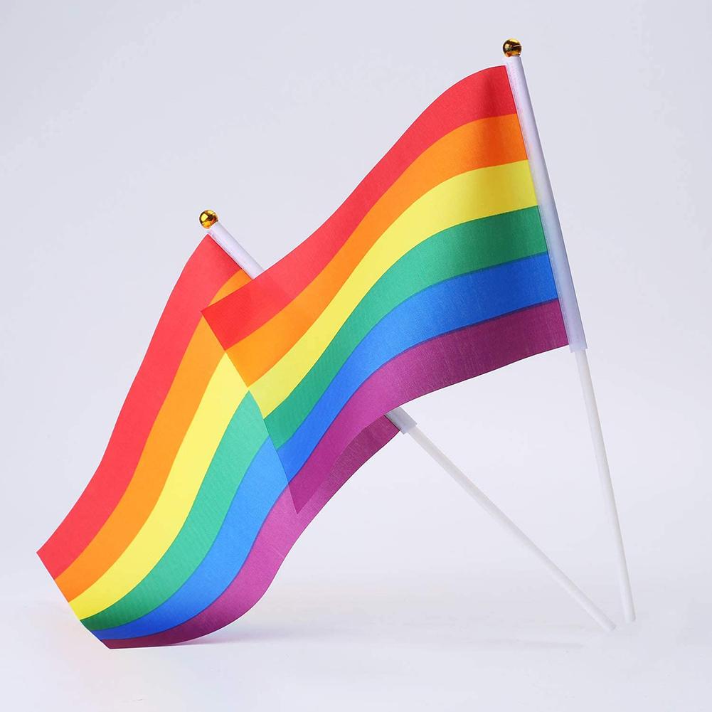 Rainbow Handheld Flags (10 Pack)