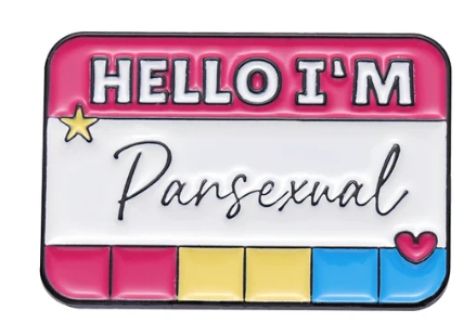 Hello I'm Pansexual - Enamel Pin