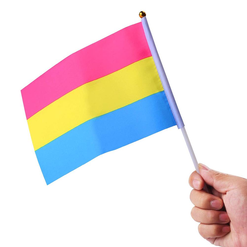 Pansexual Pride Handheld Flags (10 Pack)