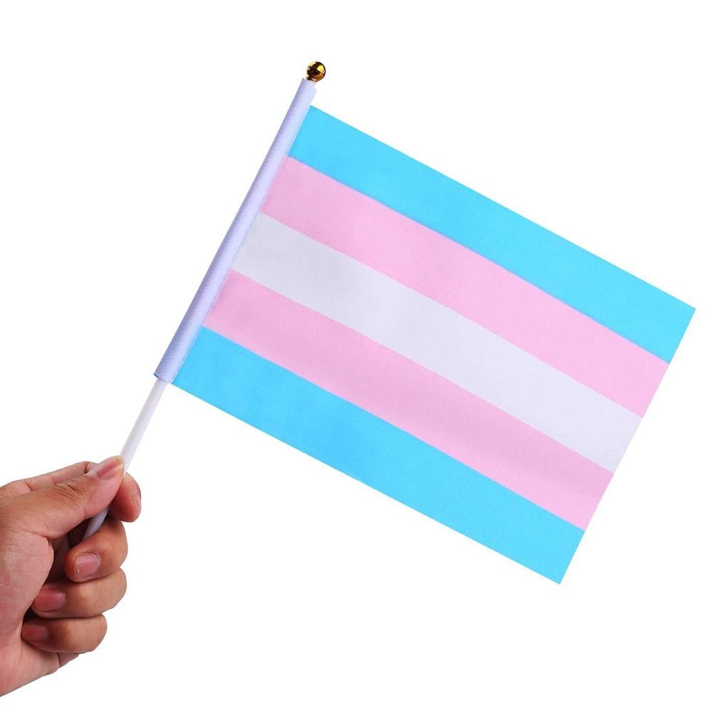 Transgender Pride Handheld Flags (10 Pack)