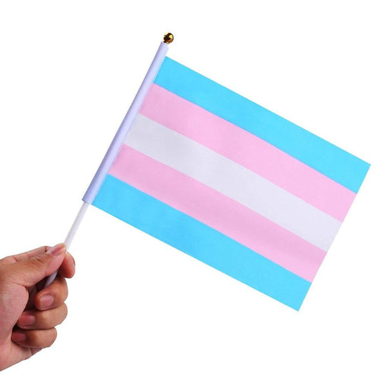 Transgender Pride Handheld Flags (10 Pack)