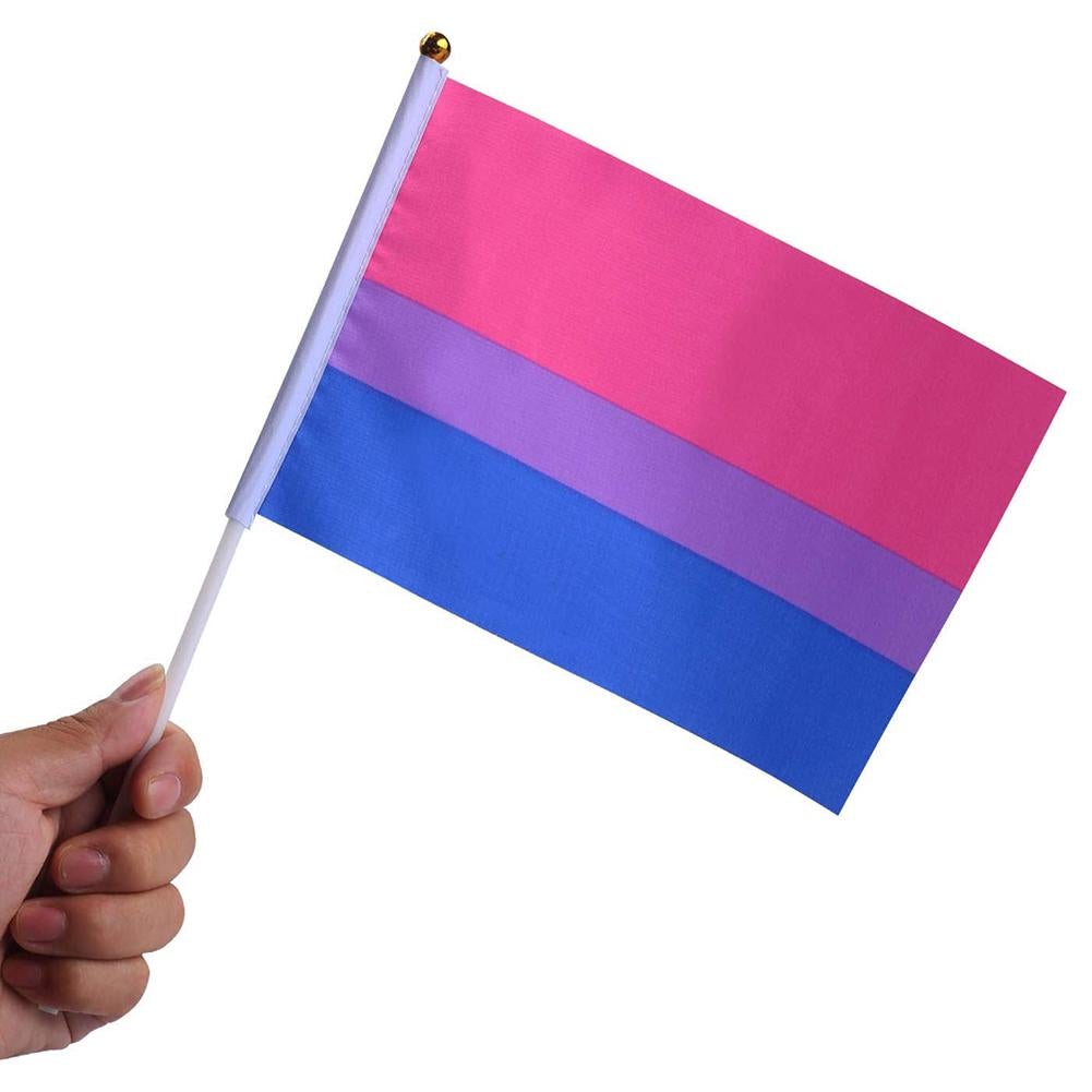 Bisexual Pride Handheld Flags (10 Pack)