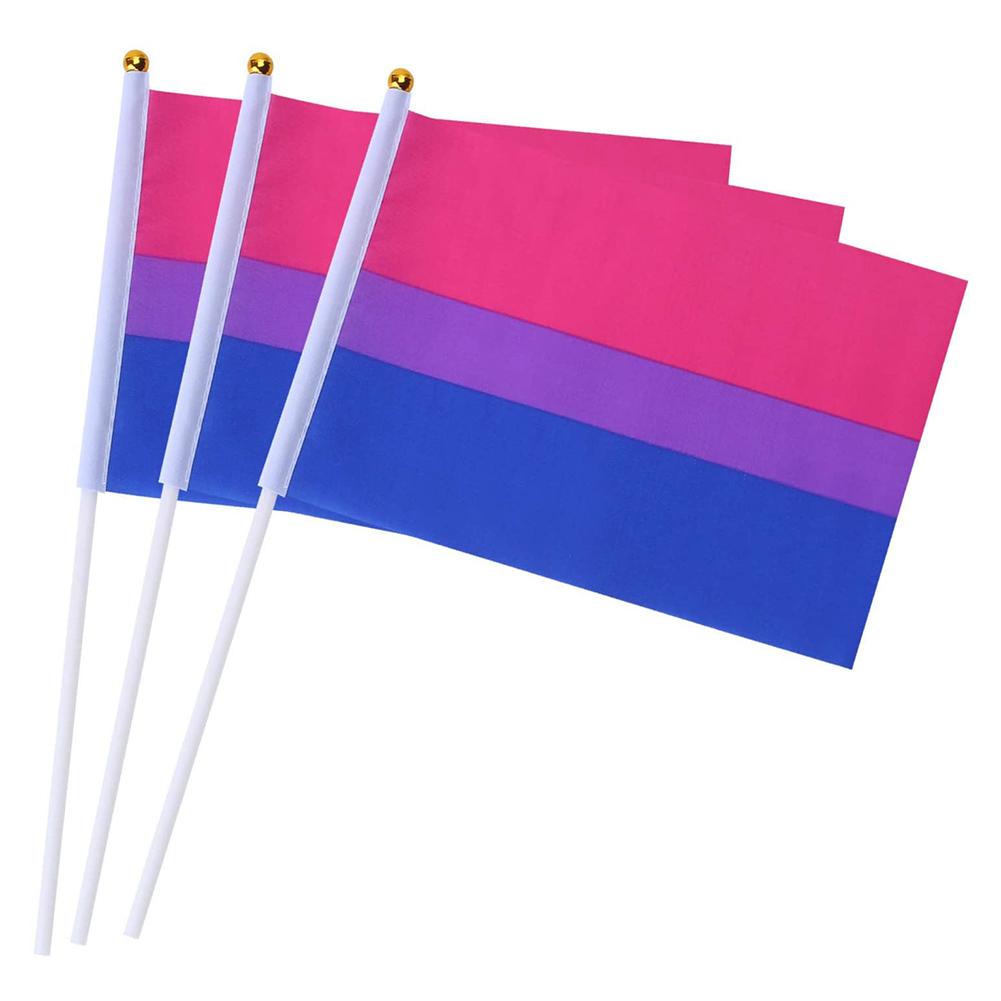 Bisexual Pride Handheld Flags (10 Pack)