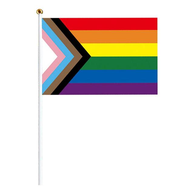 Progress Pride Handheld Flags (10 Pack)
